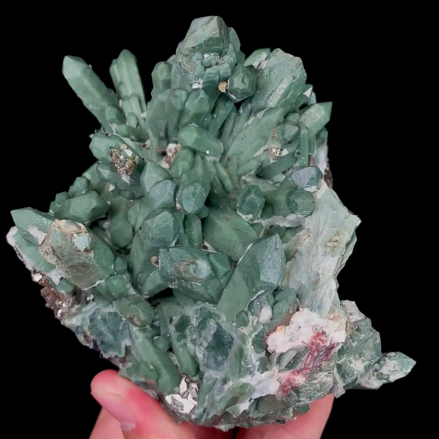 specimen video