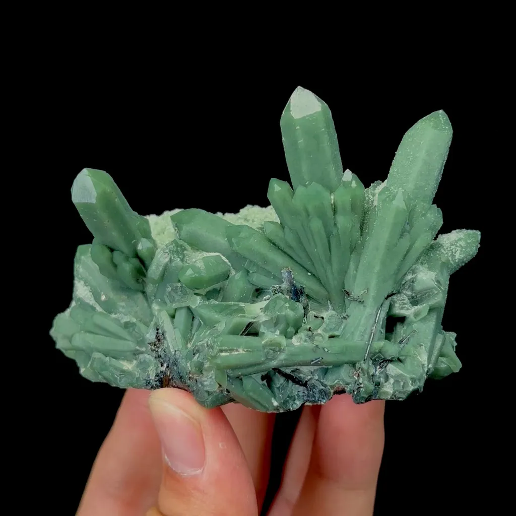 specimen video