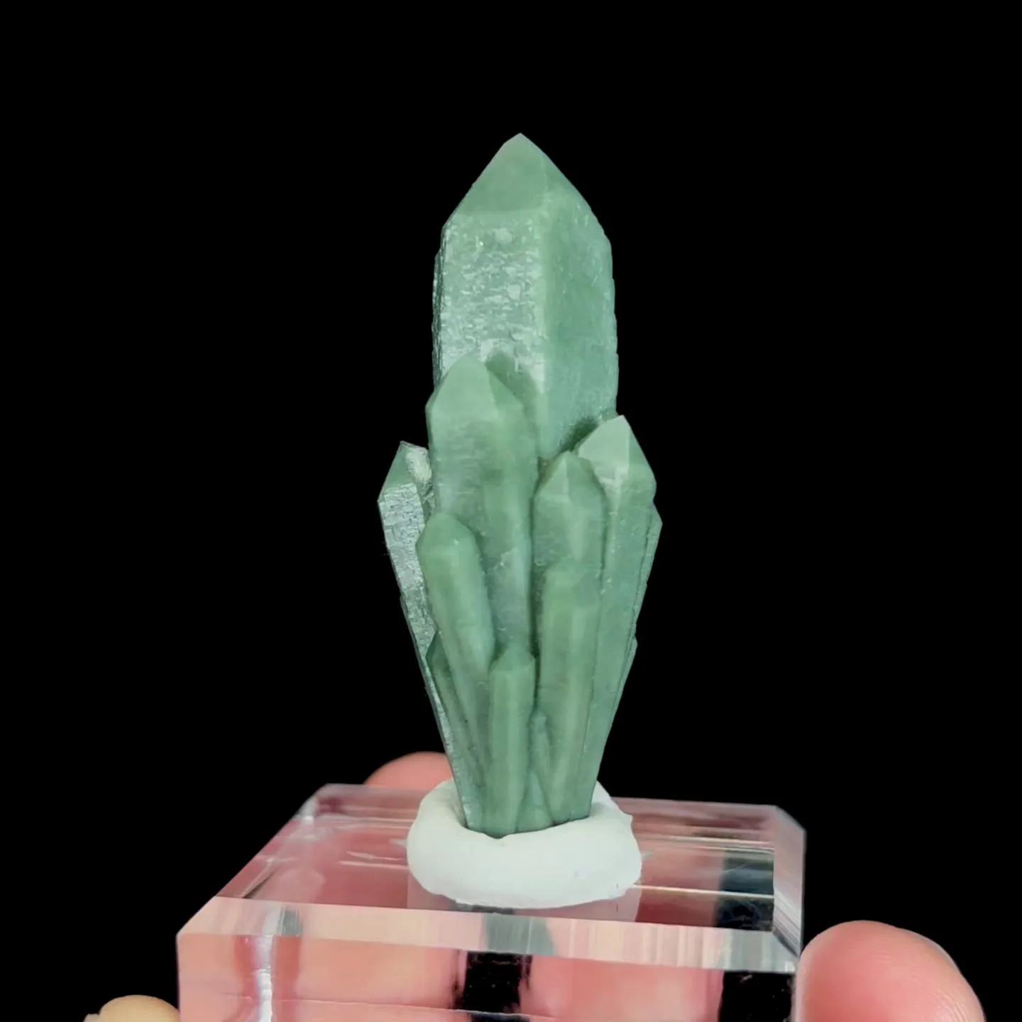 specimen video