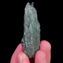 specimen video