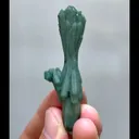 specimen video