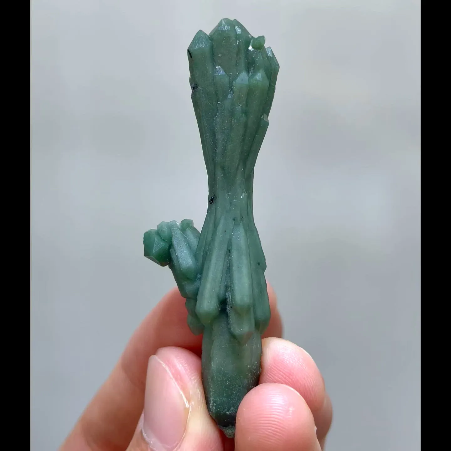 specimen video