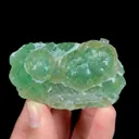 specimen video