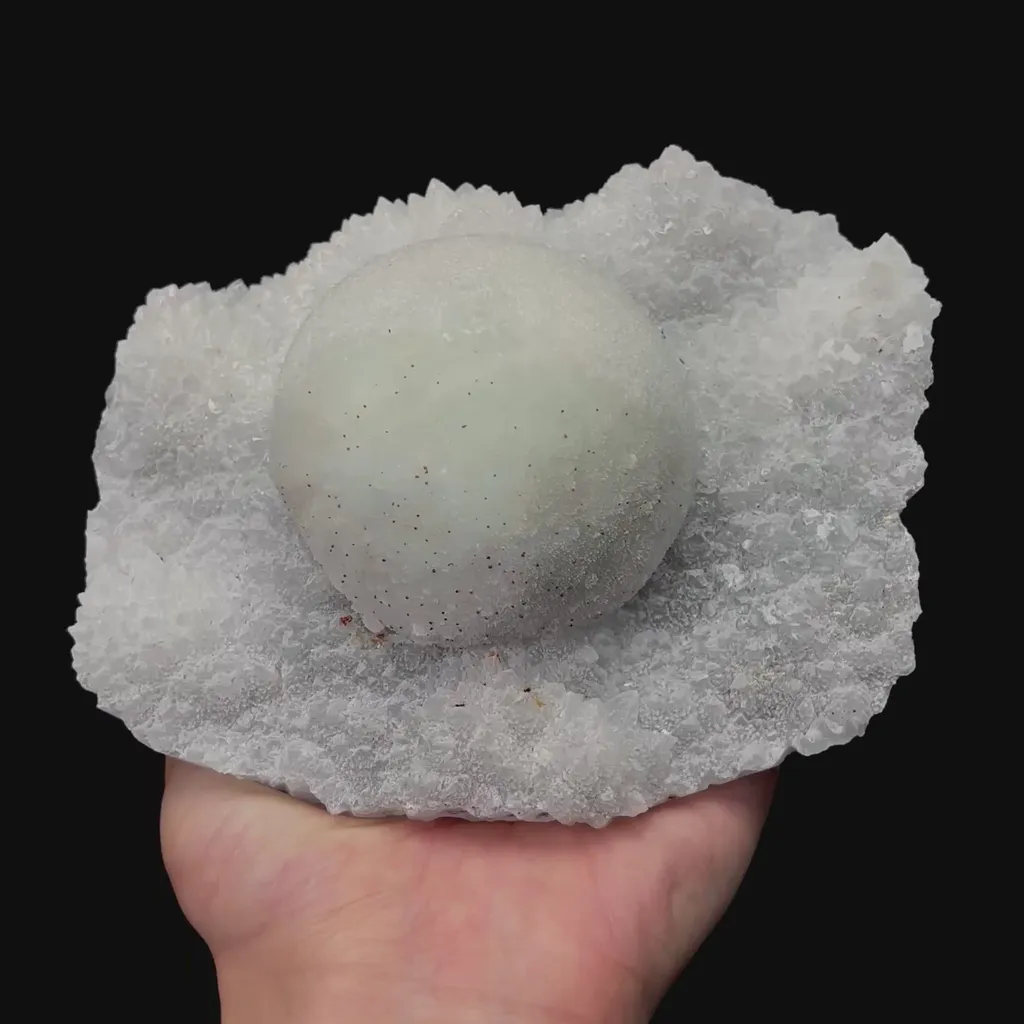 specimen video