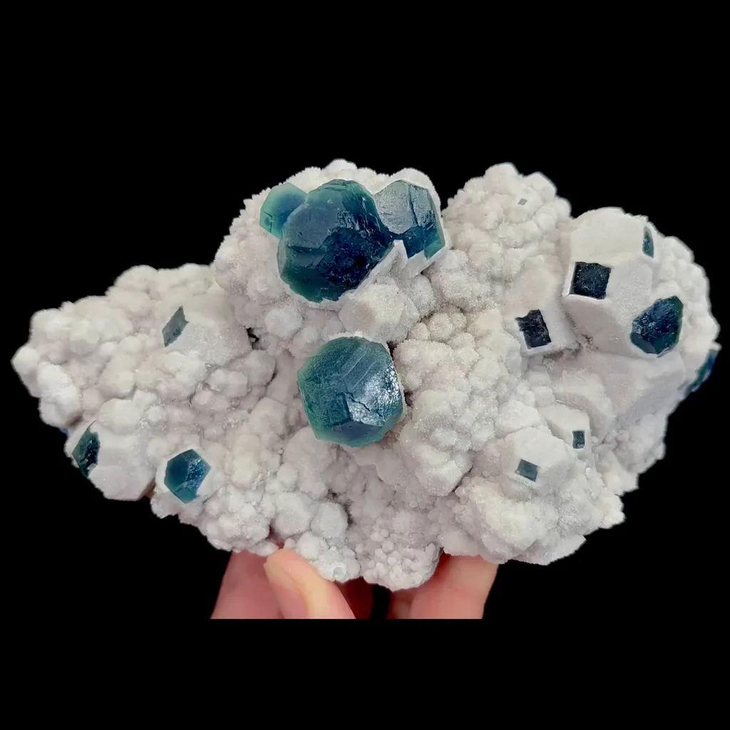 specimen video