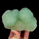 specimen video