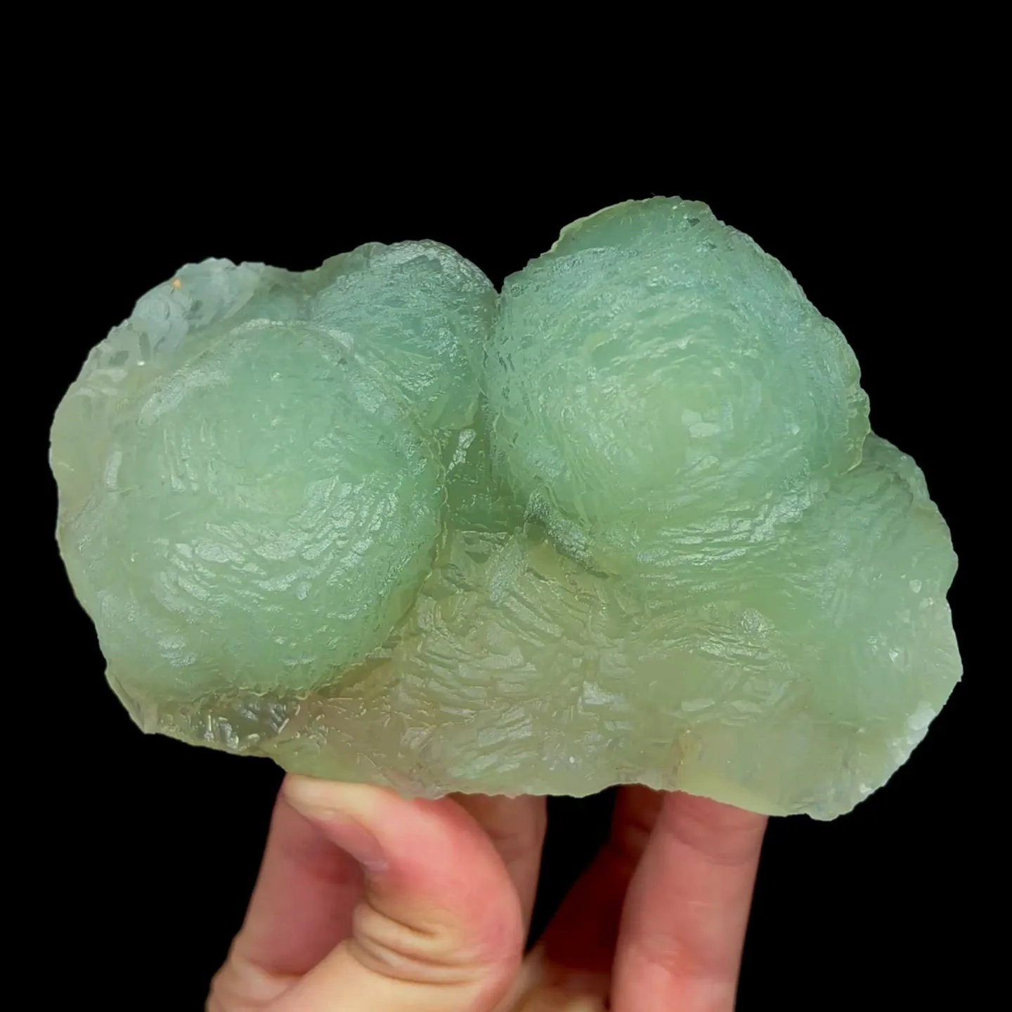 specimen video