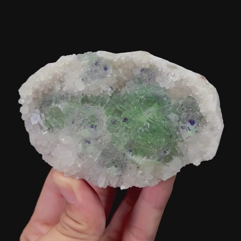 specimen video