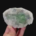 specimen video