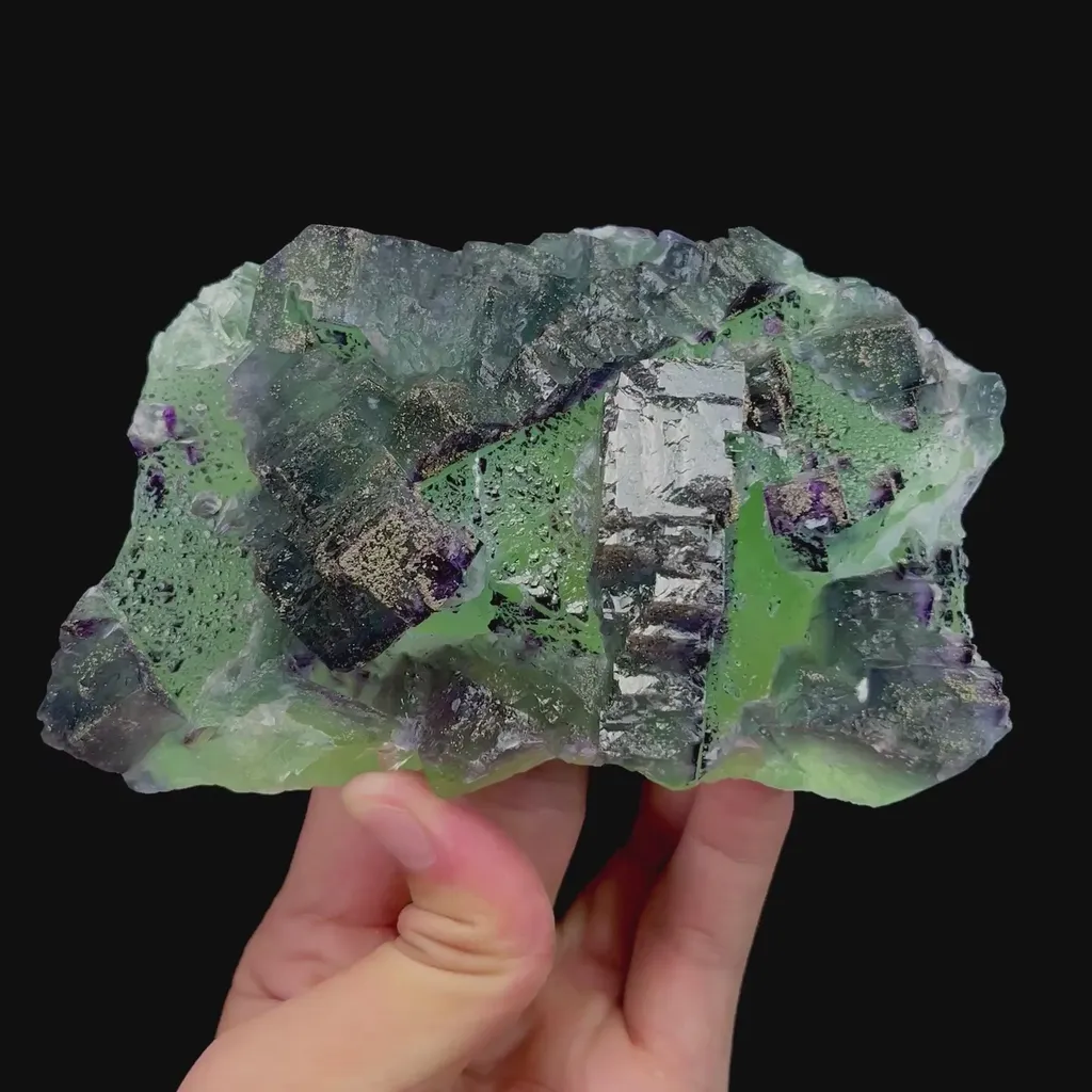 specimen video