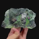 specimen video