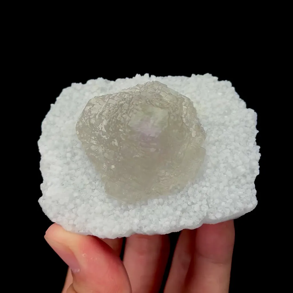specimen video