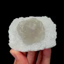 specimen video