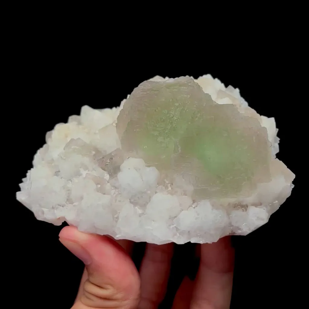 specimen video