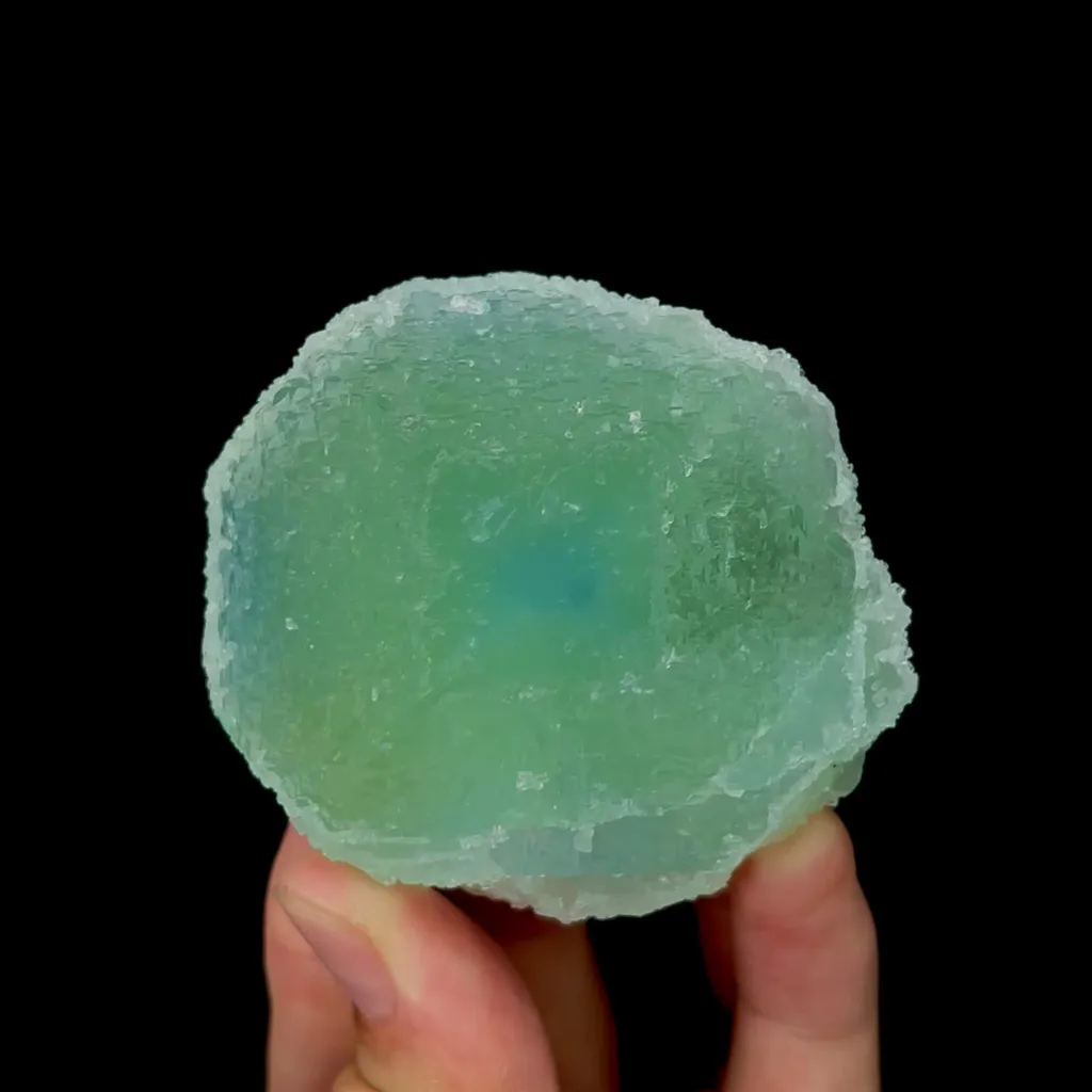 specimen video