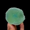 specimen video