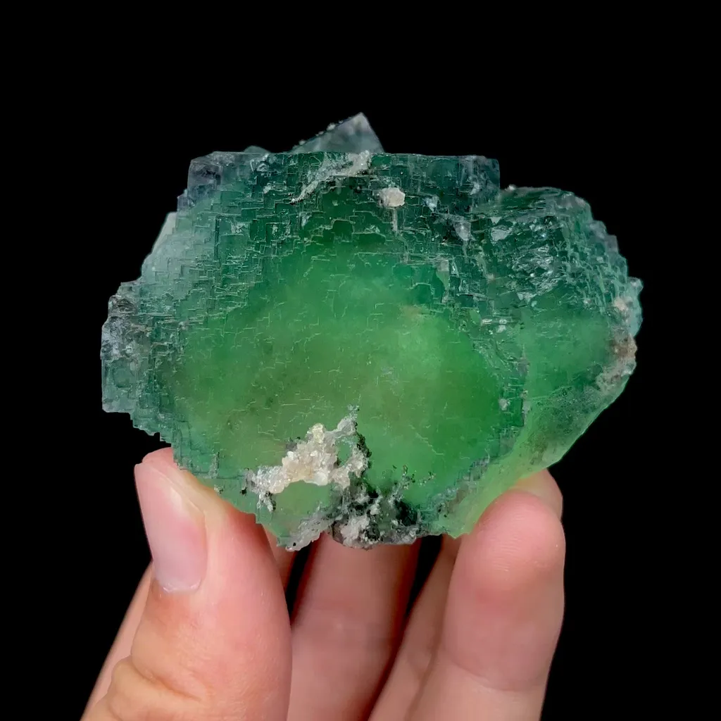 specimen video