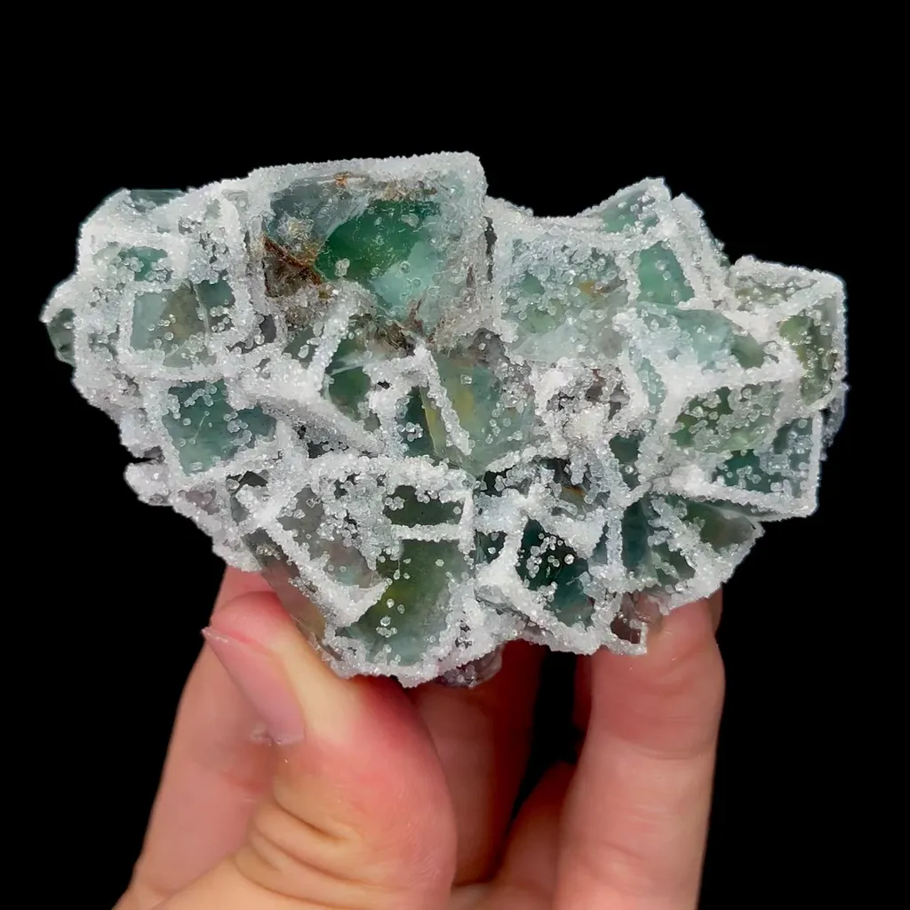 specimen video