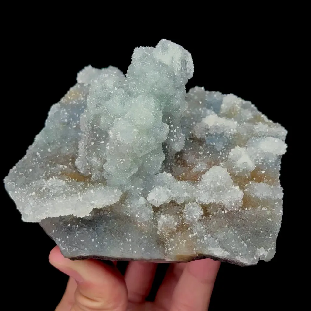 specimen video
