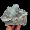 specimen video