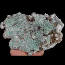 specimen video