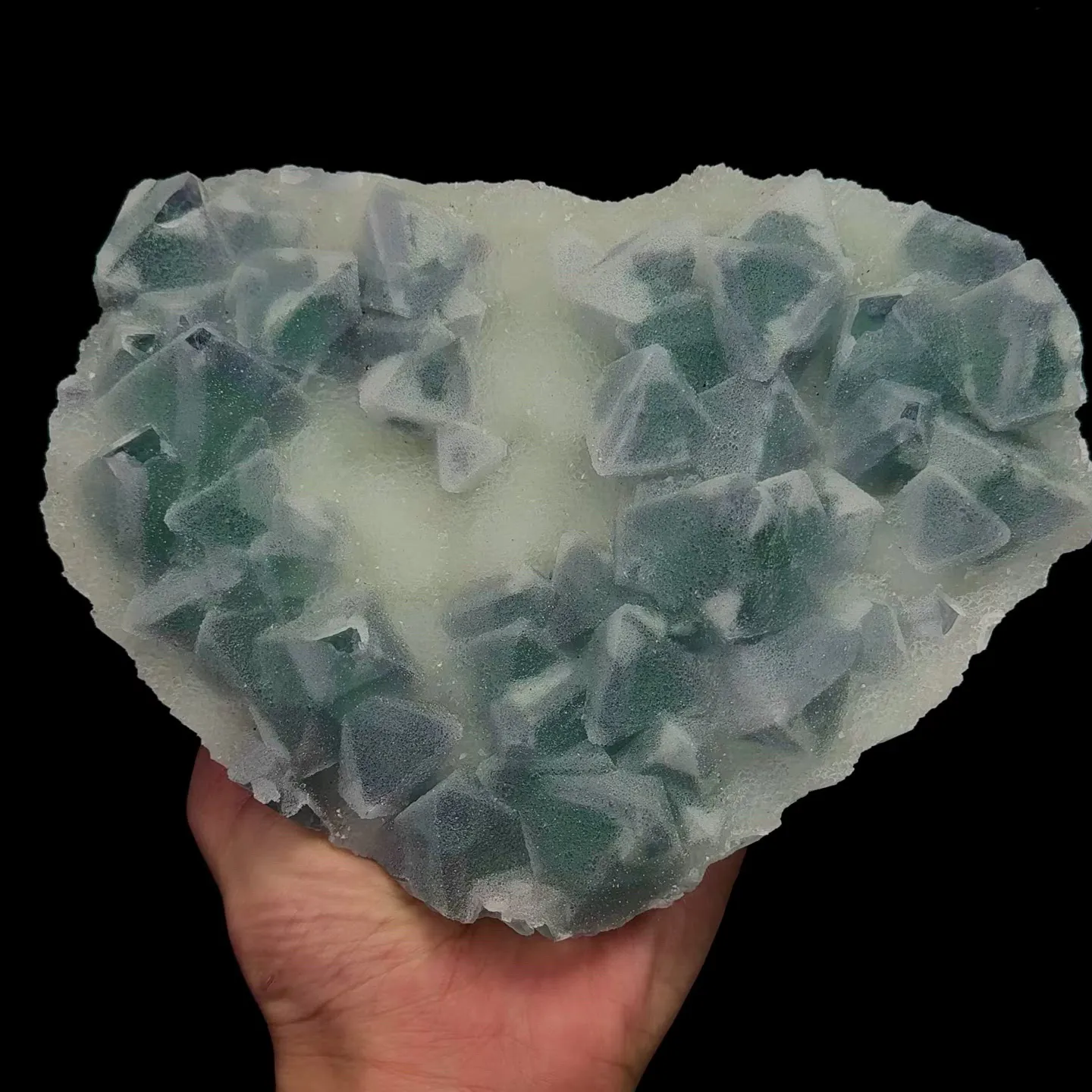 specimen video