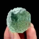 specimen video