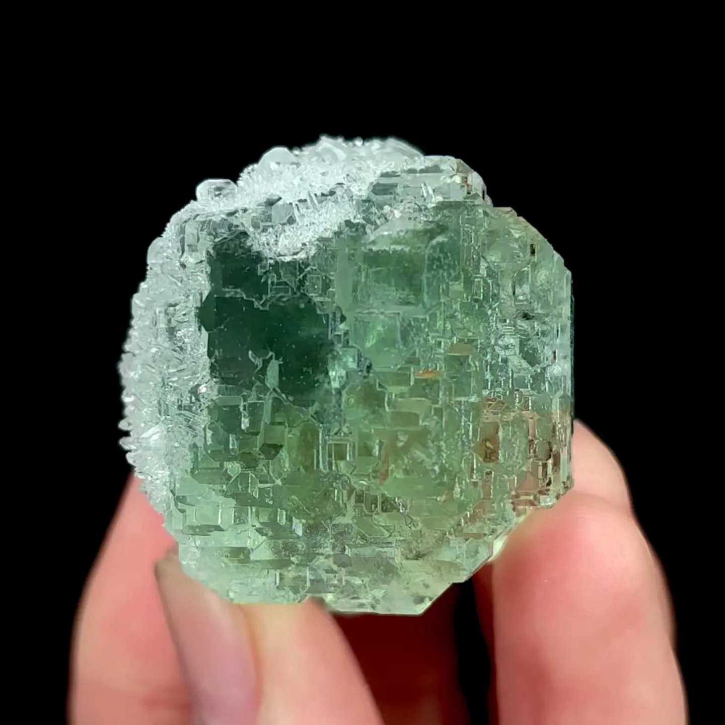 specimen video