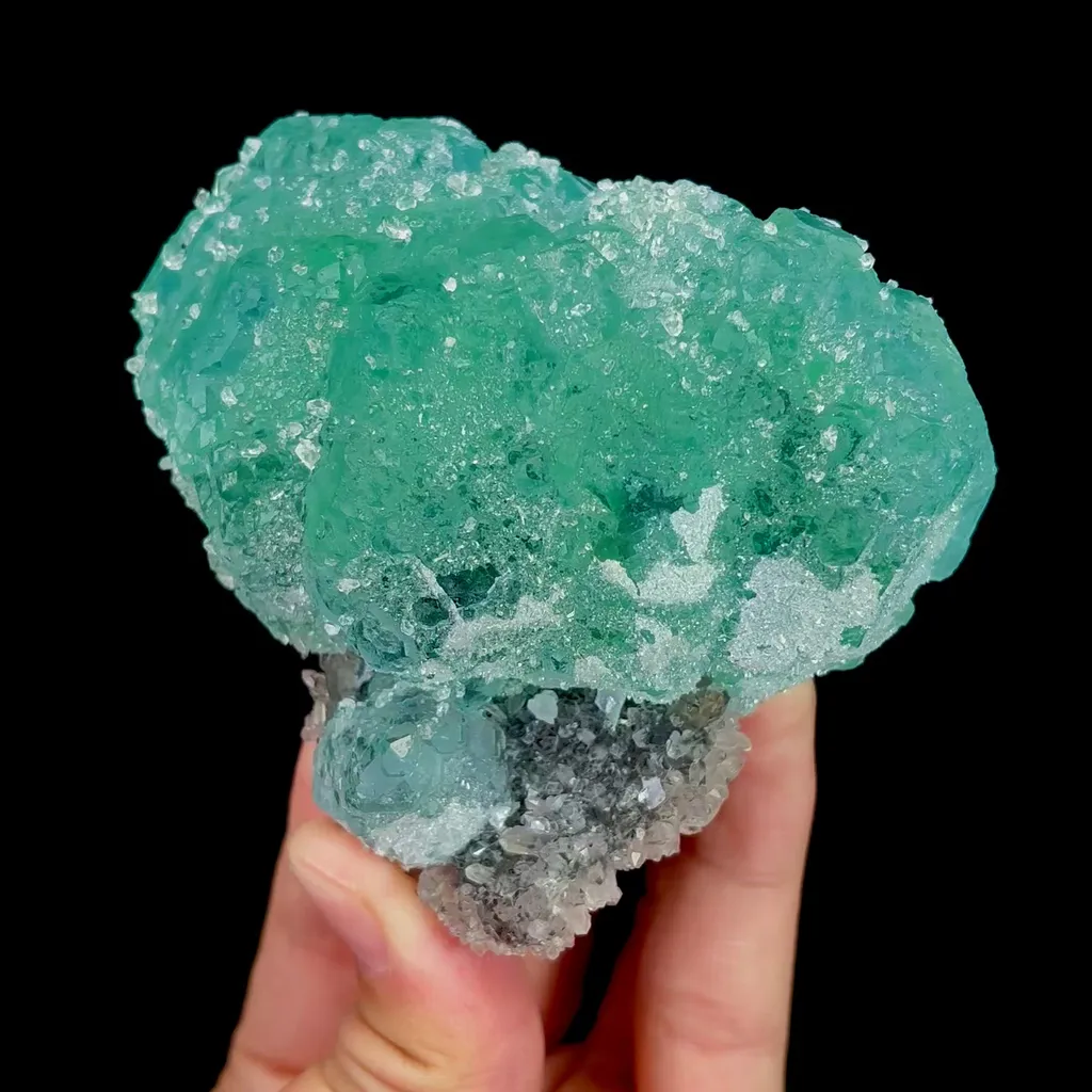 specimen video