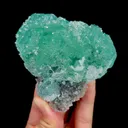specimen video