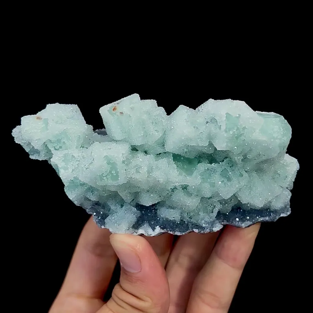 specimen video