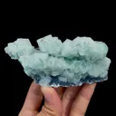 specimen video