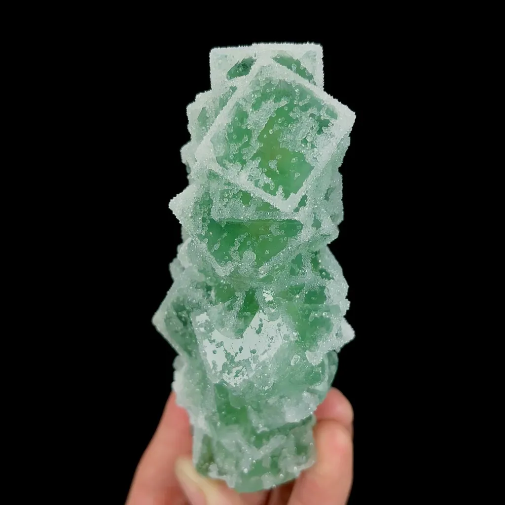 specimen video