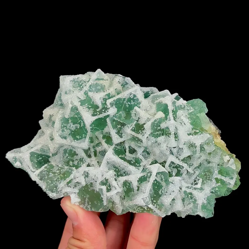 specimen video
