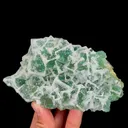 specimen video