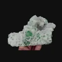 specimen video