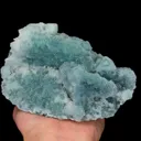 specimen video