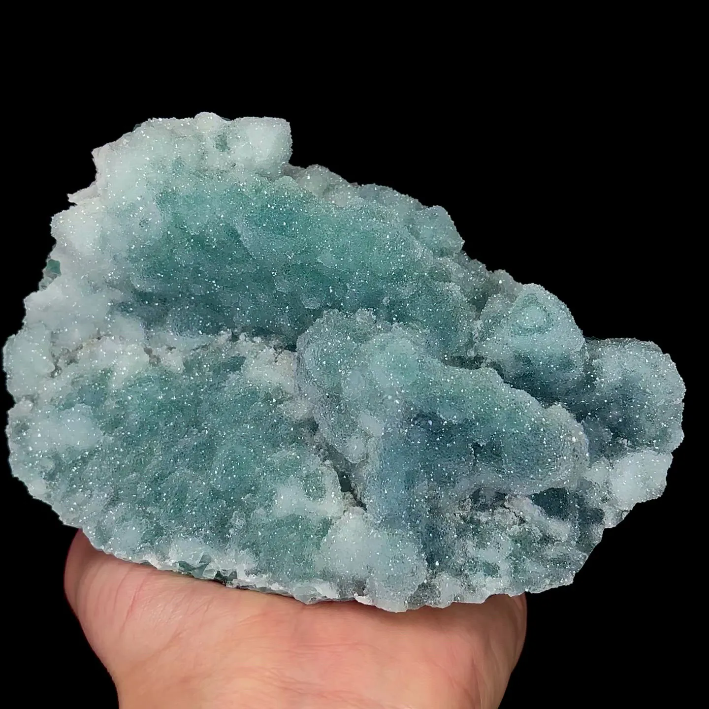 specimen video