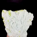 specimen video