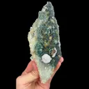 specimen video