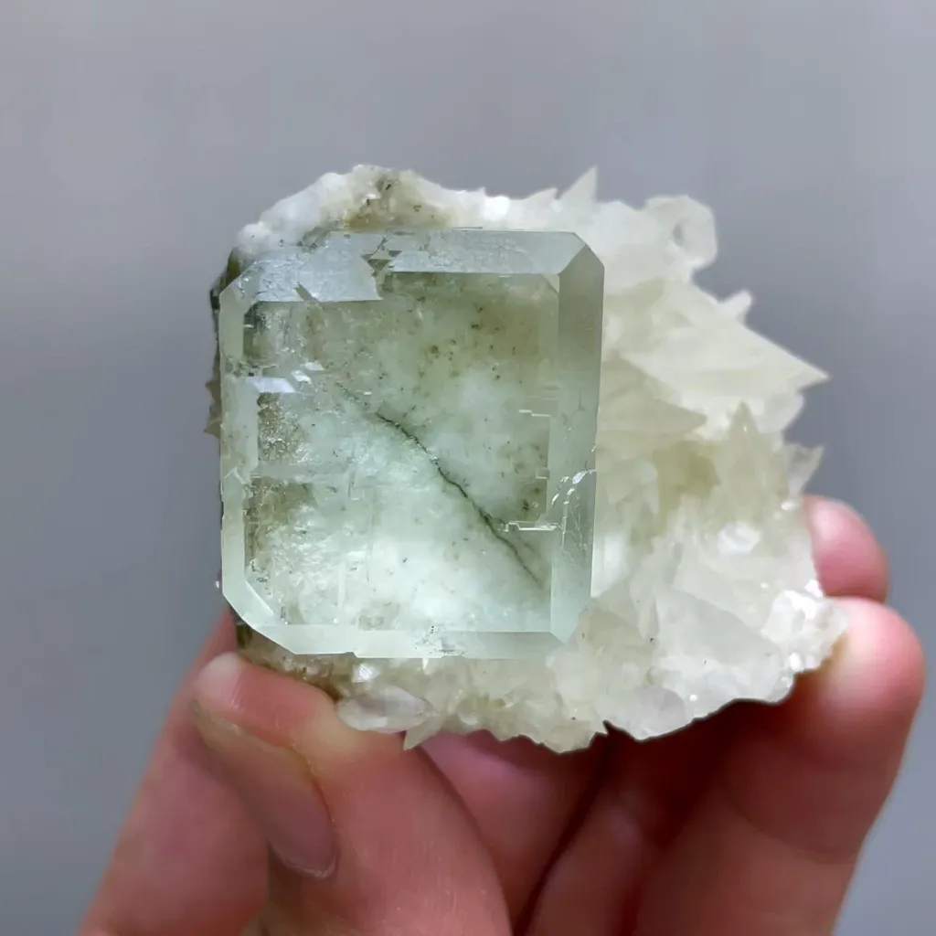 specimen video