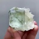 specimen video