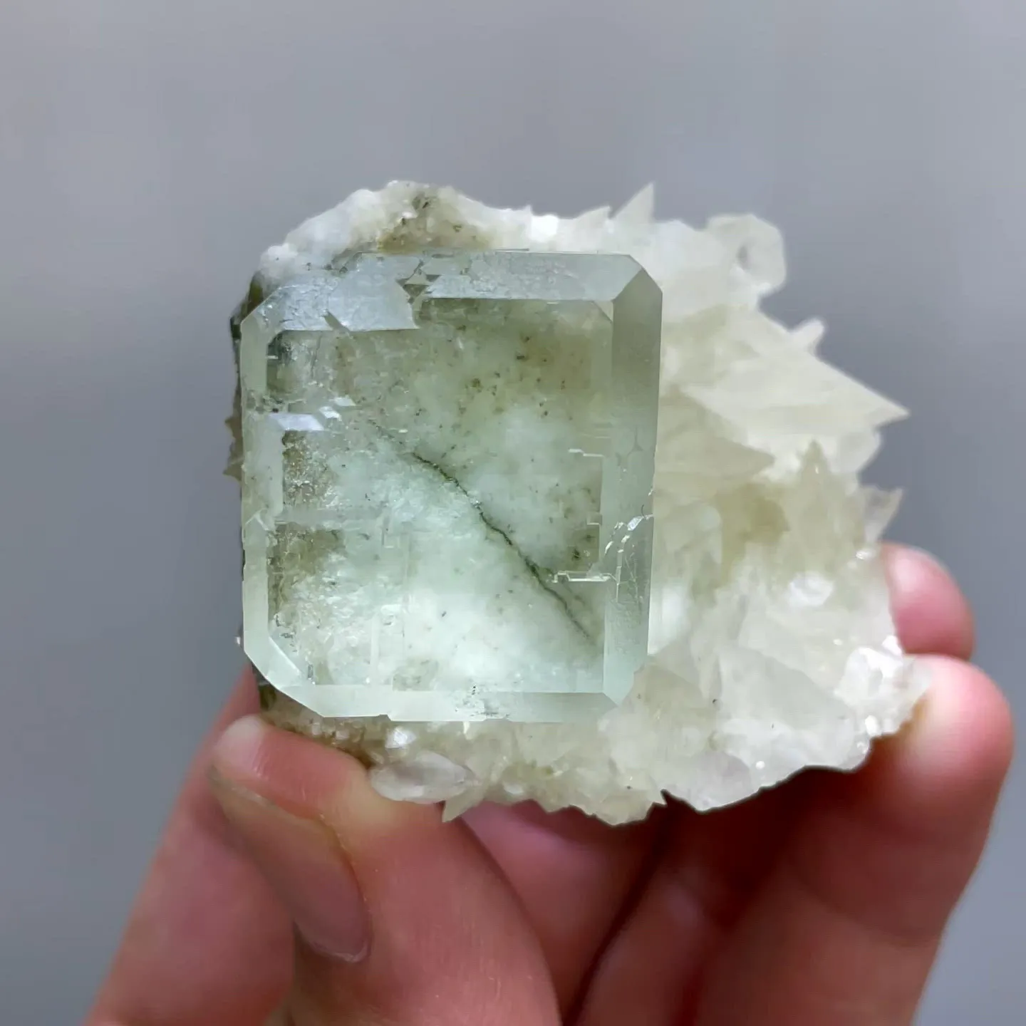 specimen video