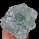 specimen video