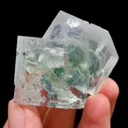 specimen video