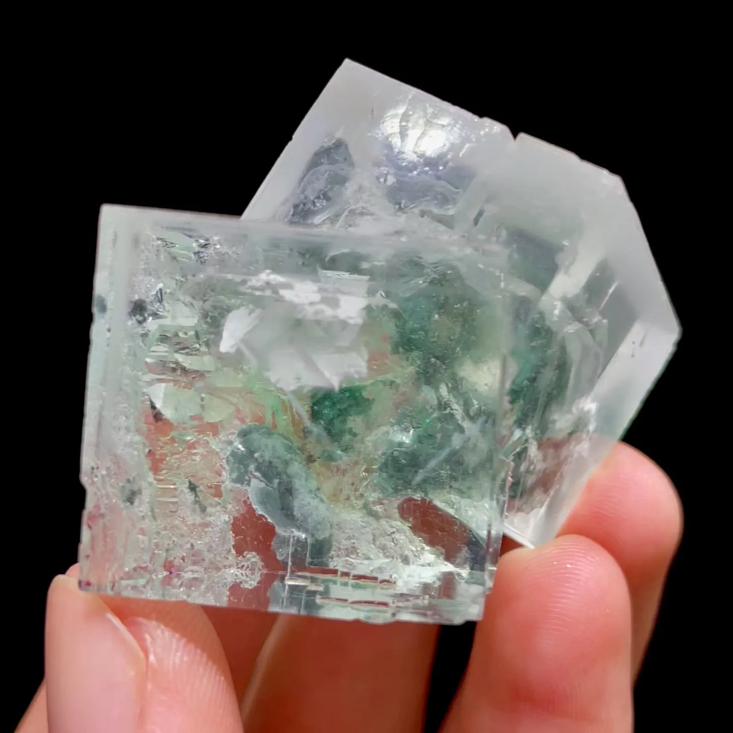 specimen video
