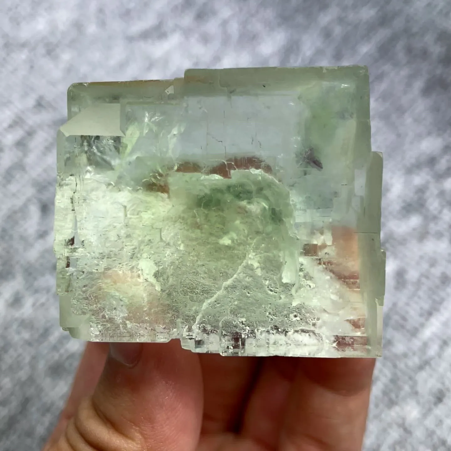 specimen video