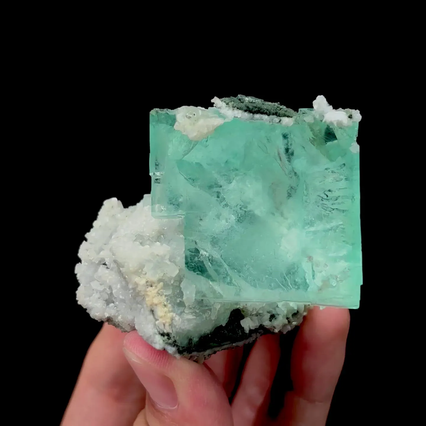 specimen video