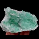 specimen video