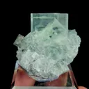 specimen video